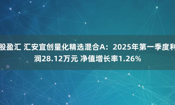 股盈汇 汇安宜创量化精选混合A：2025年第一季度利润28.12万元 净值增长率1.26%
