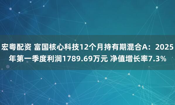 宏粤配资 富国核心科技12个月持有期混合A：2025年第一季度利润1789.69万元 净值增长率7.3%
