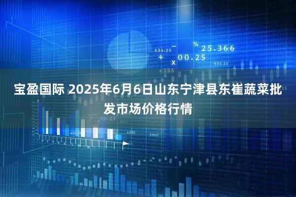 宝盈国际 2025年6月6日山东宁津县东崔蔬菜批发市场价格行情